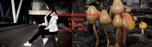 сатива Навашино