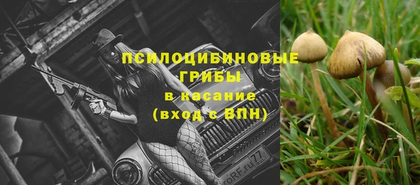 MESCALINE Гусиноозёрск