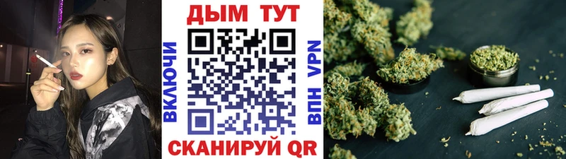 где можно купить наркотик  Болгар  Бошки Шишки ГИДРОПОН 